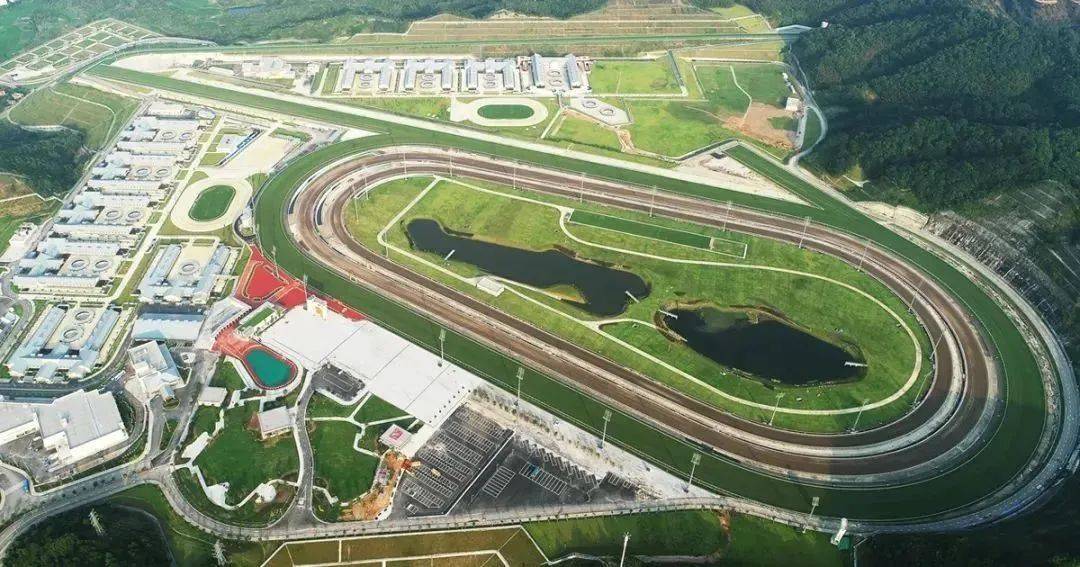 体育生稳定职业新赛道：香港赛马会赛事见习学员招聘！