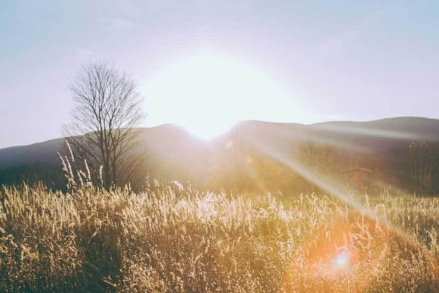 体育赛事直播技术提升互动性