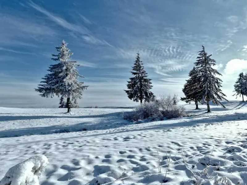 体育赛事直播解说专业易懂