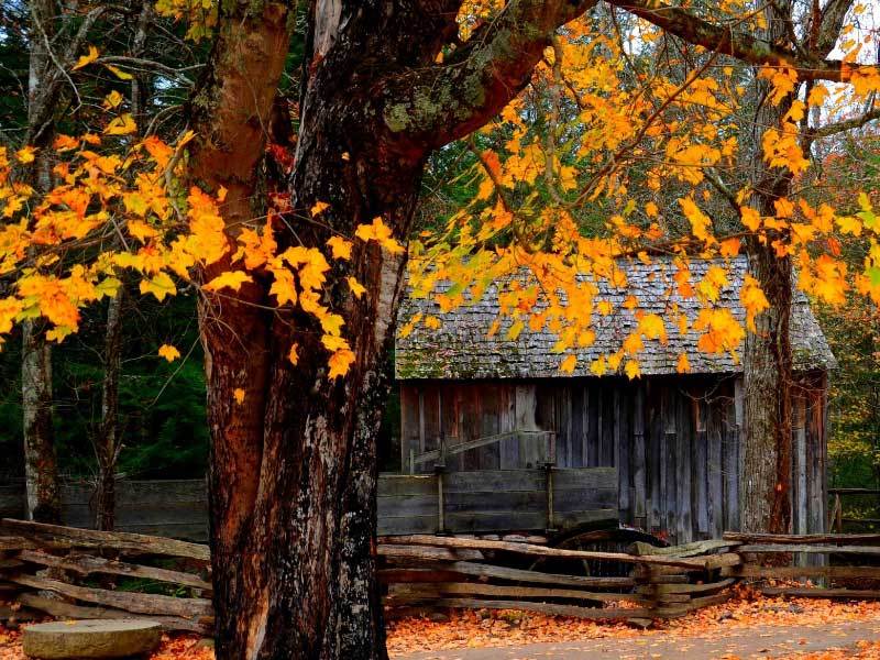 体育赛事直播互动环节参与高