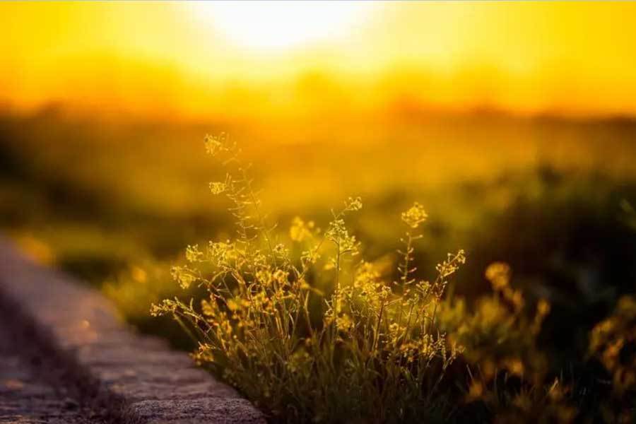 体育赛事直播创新观众体验升级